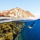 천금공인중개사사무소 이미지