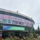 한농연울산화훼매장 | 울산 북구 | 농협화훼백화점 | 난초(막실라리아, 골든킹 호접란, 소엽 풍란) 구매 후기