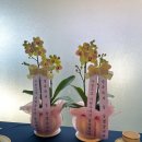 만다린그랜드머큐어 | [창원 상견례 식당] 만다린 그랜드머큐어 호텔, 가성비 좋은 중식 코스 상견례 장소