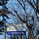 해운대로161번길 12 이미지