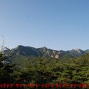 녹번-026 Daum카페