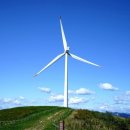 미인목장 이미지