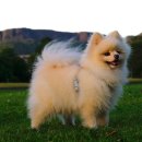 포인트병원 이미지