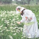 꽃보다아름다운당신 이미지