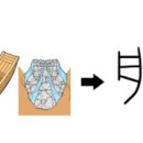 배*선