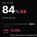 쉘퍼 앤써 음식물처리기 분해첨가제 후기 | 떡짐·눌어붙음 진짜 해결됐어요