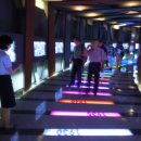 자유랜드 이미지