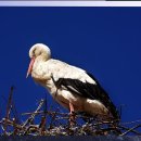 해답한의원 이미지