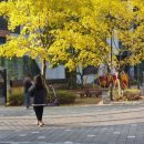 고대1110 | (1018-1110)