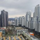 신반포중학교 이미지