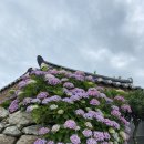 예향숯불갈비 이미지