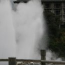 생수랜드 이미지