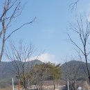 한국대중음악인연합회대구지회 이미지