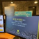 돌카롱연구소