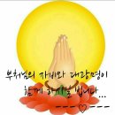 탄현로 이미지