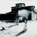 고향방앗간 네이버블로그