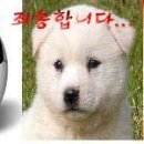 묘연 이미지