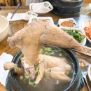 시골삼계탕 이미지