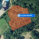 세광 부동산중개사무소 이미지