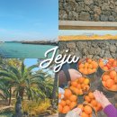 평화로 73번길 | 제주 2박 3일 여행 웹플로우 팸투어 후기 신청방법