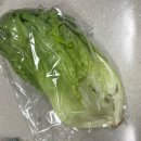 수일농장 | 신선한 유럽상추 추천 맛있고 신선한 신선광채 바타비아 구매 후기