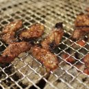 강남 갈매기