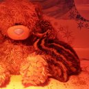 부화목장 이미지