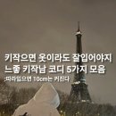 가좌1-04-005 | 키작으면 옷이라도 잘 입어야지 느좋 키작남 코디 5가지 추천해줄게요!