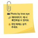 부어비다