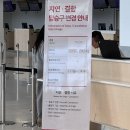 치즈(cheese) | 삿포로 기념품, 신지토세 공항 스노우 치즈 Snow Cheese 후기