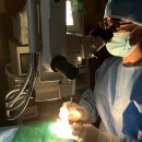 휴안과동물병원 이미지