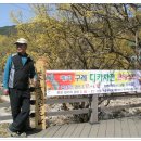 버드실샘 이미지