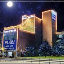 한나약국 | 앙코르 눈밑지 일반 방식과의 차이부터, 수술 후기까지