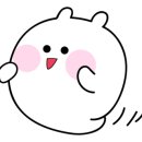 제니스뷰티