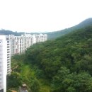 강남데시앙포레 네이버블로그
