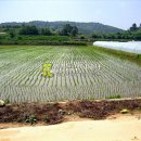 도화리농장 이미지