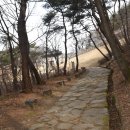 문경 오미자테마터널 이미지