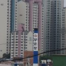 필우탕 이미지