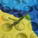 도담공원 화장실 이미지