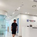 낙상 발치.26.9.2브릿지 이미지