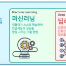 KAIST PMBA 1학년 겨울학기 후기