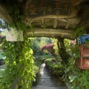 숲속의 둥지 이미지