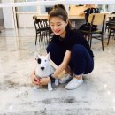 예빈인테리어