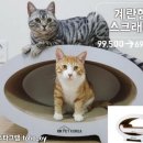 오케이펫