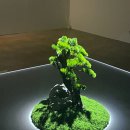《미음완보, 전통 정원을 거닐다》 서울 무료 입장 세종문화회관 미술관 미디어아트 전시회 추천 후기