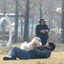 빛가람 호수공원 이미지