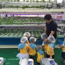 둘리유치원 이미지