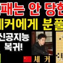 신진서, 3연패는 안 당한다! 셰커에게 분풀이~ 그런데 결과가? [신진서 9단 VS 셰커 9단 한중슈퍼매치 하이라이트 2024-05-2 이미지