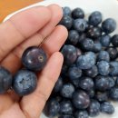 주식회사 잘팜 이미지