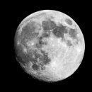 하늘플라워 이미지